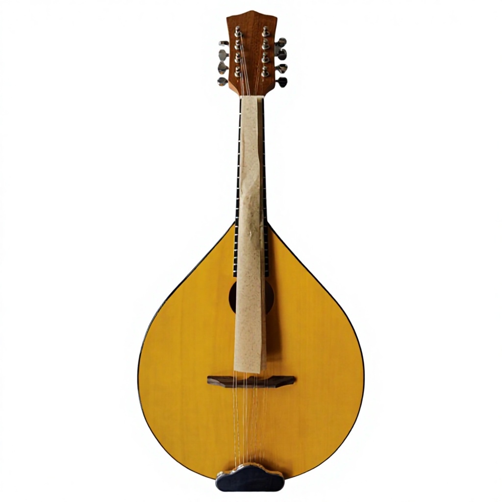 Musical Instrument Banjo - 8弦アコースティックバンジョー、バスウッドバック＆サイド、マンドリンスタイル楽器、フォークミュージック、プロ品質